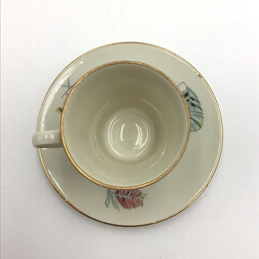 Vintage Zeh Scherzer Bavaria Germany Tea Cup and Saucer